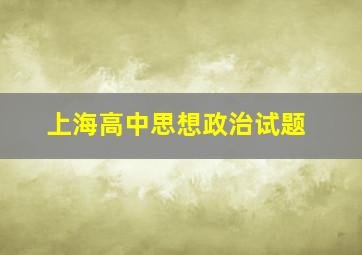 上海高中思想政治试题