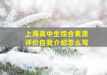 上海高中生综合素质评价自我介绍怎么写