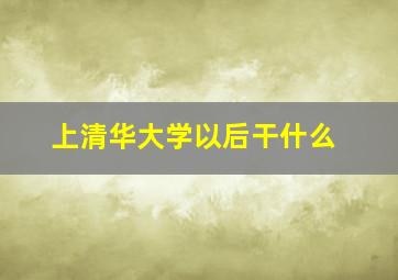 上清华大学以后干什么