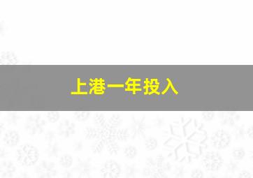 上港一年投入