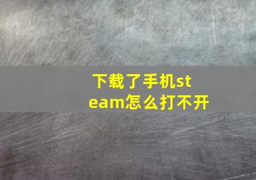 下载了手机steam怎么打不开