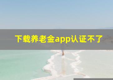 下载养老金app认证不了