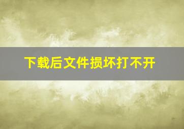 下载后文件损坏打不开