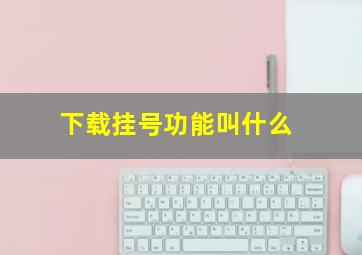 下载挂号功能叫什么