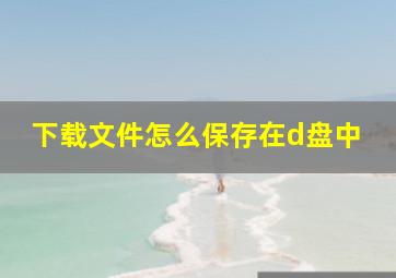 下载文件怎么保存在d盘中