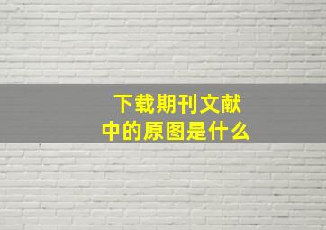 下载期刊文献中的原图是什么