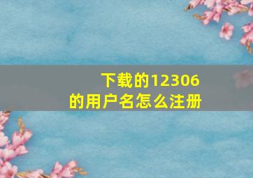 下载的12306的用户名怎么注册