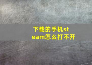 下载的手机steam怎么打不开