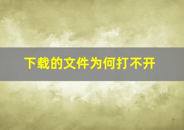 下载的文件为何打不开