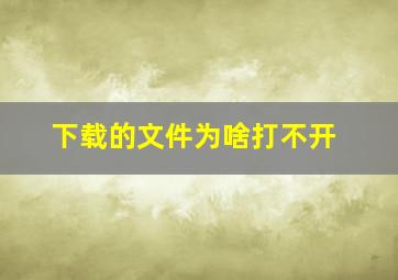 下载的文件为啥打不开