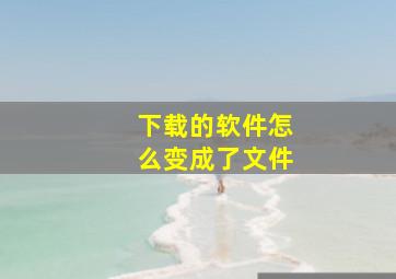 下载的软件怎么变成了文件