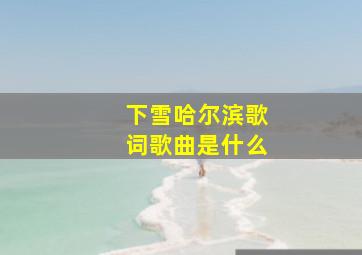 下雪哈尔滨歌词歌曲是什么