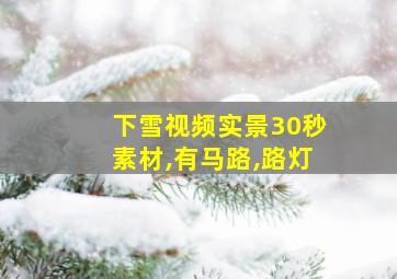 下雪视频实景30秒素材,有马路,路灯