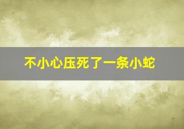 不小心压死了一条小蛇