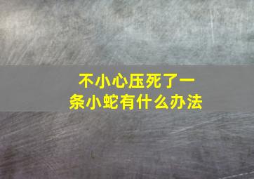 不小心压死了一条小蛇有什么办法