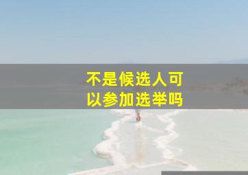 不是候选人可以参加选举吗