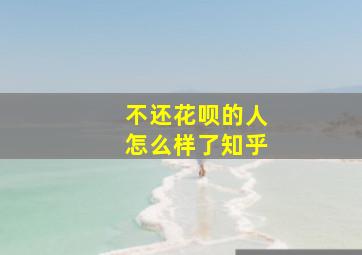 不还花呗的人怎么样了知乎