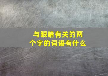 与眼睛有关的两个字的词语有什么