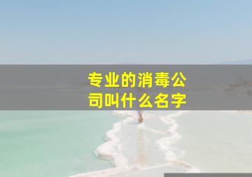 专业的消毒公司叫什么名字