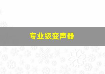 专业级变声器