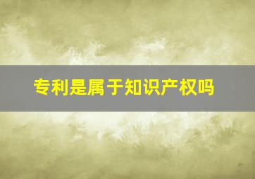 专利是属于知识产权吗