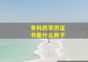 专科的学历证书是什么样子