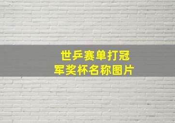 世乒赛单打冠军奖杯名称图片