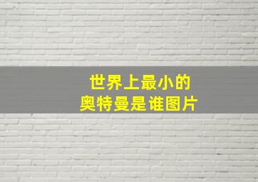 世界上最小的奥特曼是谁图片