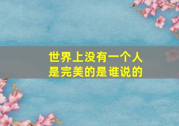 世界上没有一个人是完美的是谁说的