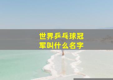 世界乒乓球冠军叫什么名字