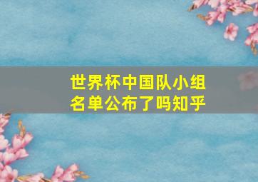 世界杯中国队小组名单公布了吗知乎