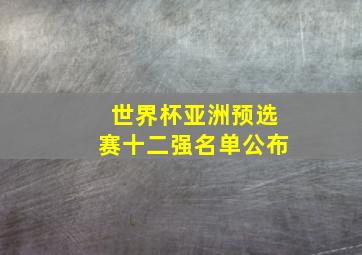 世界杯亚洲预选赛十二强名单公布