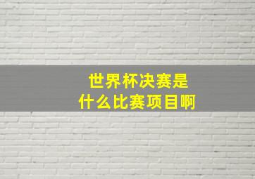 世界杯决赛是什么比赛项目啊