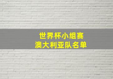 世界杯小组赛澳大利亚队名单