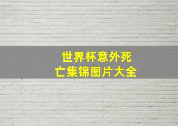 世界杯意外死亡集锦图片大全