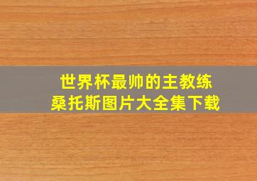 世界杯最帅的主教练桑托斯图片大全集下载