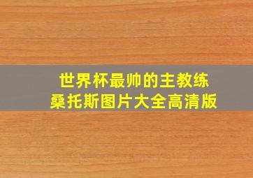 世界杯最帅的主教练桑托斯图片大全高清版