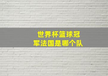 世界杯篮球冠军法国是哪个队