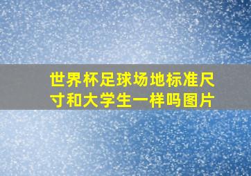 世界杯足球场地标准尺寸和大学生一样吗图片