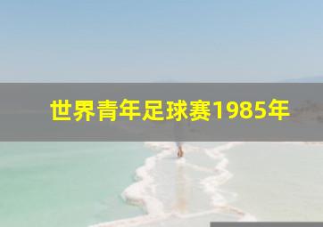 世界青年足球赛1985年