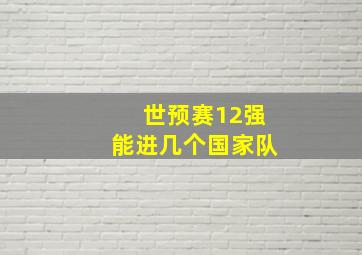 世预赛12强能进几个国家队