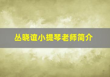 丛晓谊小提琴老师简介