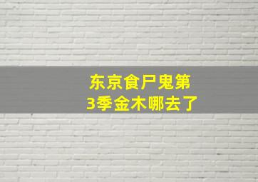 东京食尸鬼第3季金木哪去了