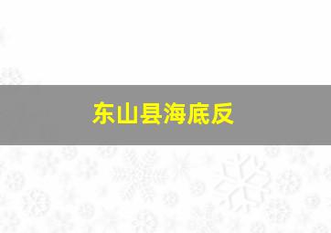 东山县海底反