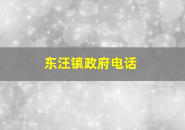 东汪镇政府电话