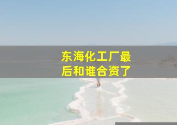 东海化工厂最后和谁合资了