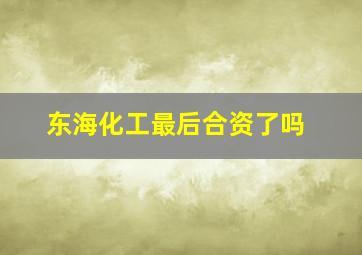 东海化工最后合资了吗