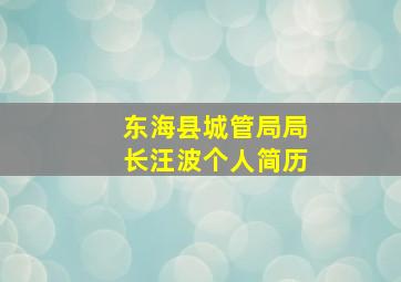 东海县城管局局长汪波个人简历