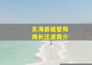 东海县城管局局长汪波简介