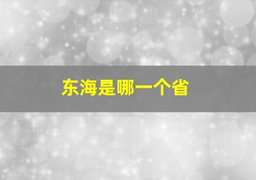 东海是哪一个省